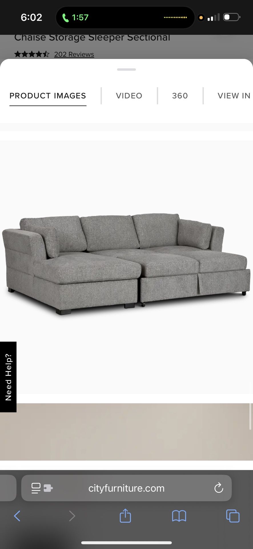 Light Gray Pull Out Couch