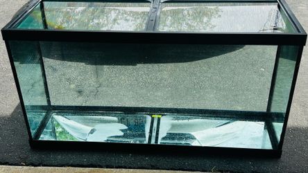 90 gallon Aquarium Setup