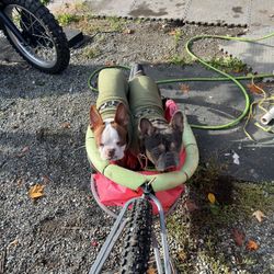 E Bike Dog Trailer