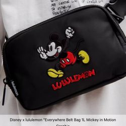 Lululemon Bag