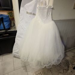 Wedding/Quinceañera Dress