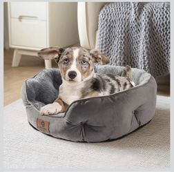 Asvin Small Dog Bed for Small Dogs, Cat Beds for Indoor Cats, Pet Bed for Puppy and Kitty