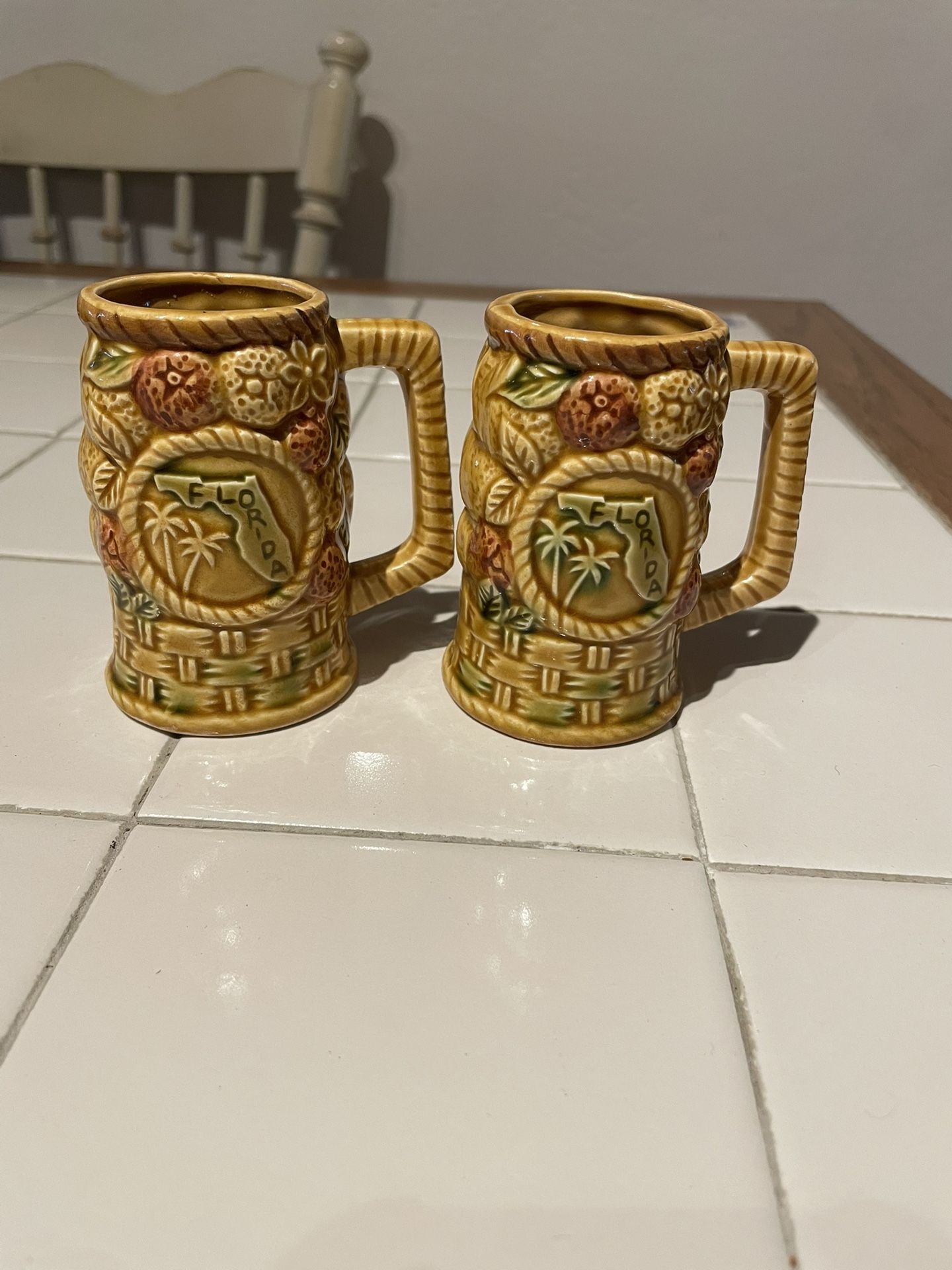 Florida Shot Glass Mugs