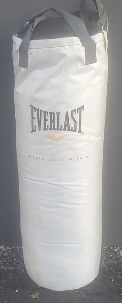 Everlast Heavy Punching Bag – Great Condition