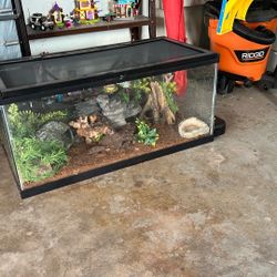 Terrarium Complete