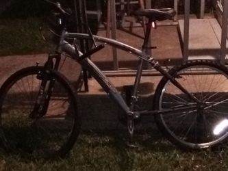 Canyon Adult Bike
