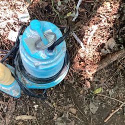 Little Giant Sub pump 