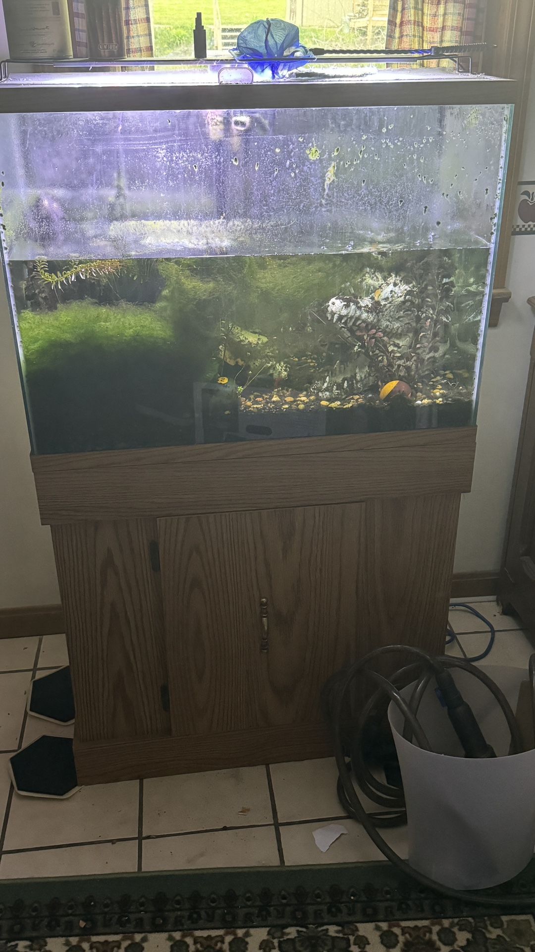 38 Gallon Mirror Back Aquarium 