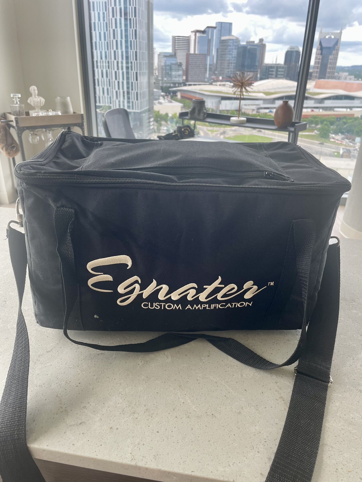 Engnater Amp Head Case/Bag