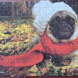 Completed & Glued 150 Piece Puzzle $3 Each