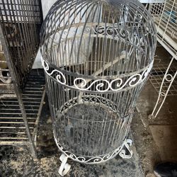 Bird Cage/ Jaula 