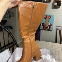 Brown High Boots With Small Heel 