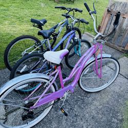 Bicycles $40 Each!