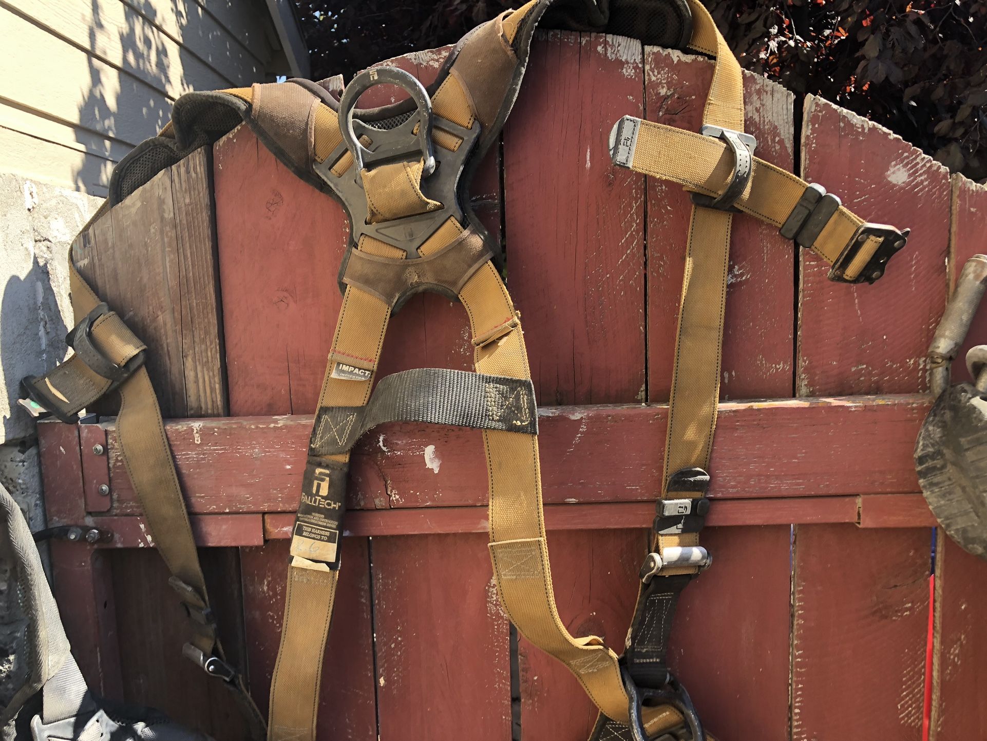Safety Harness