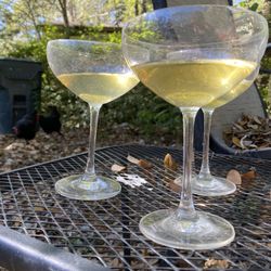 Champagne Glasses