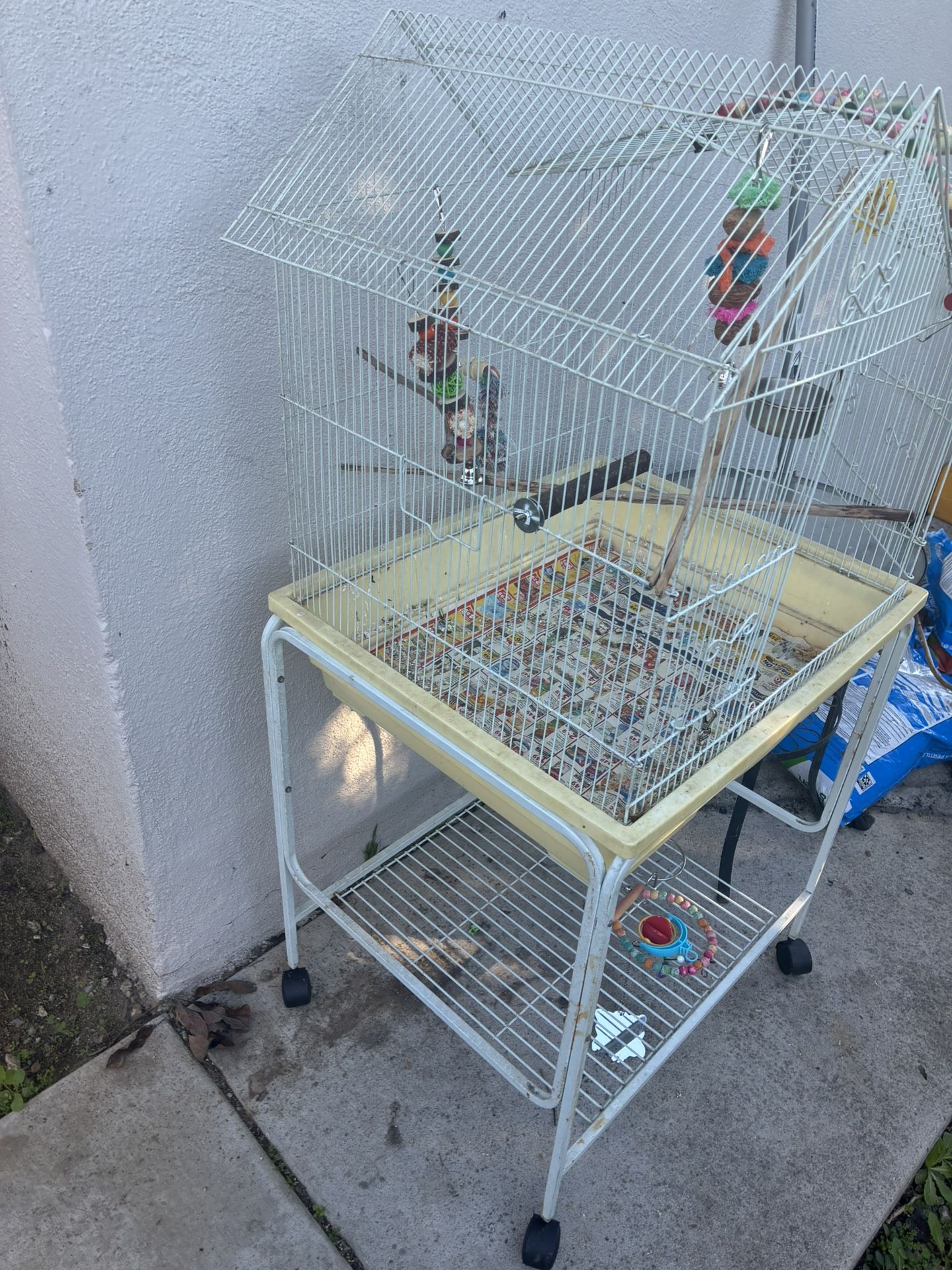 Bird Cage 