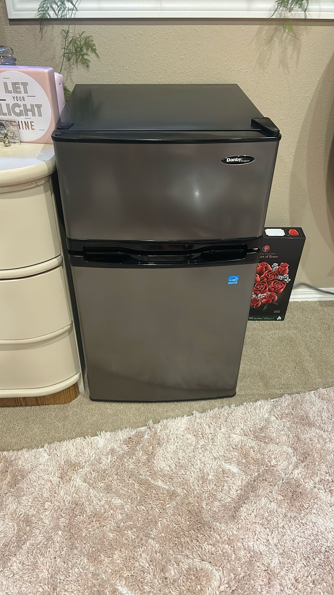 Mini Fridge
