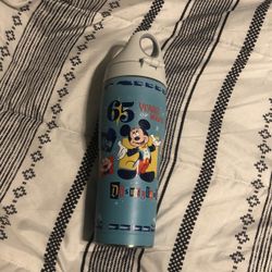 Disney Hydro Bottle
