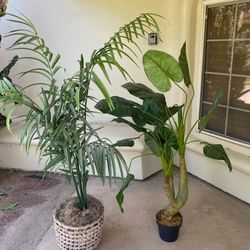 Faux Trees House Plants 5-8 Ft Tall 