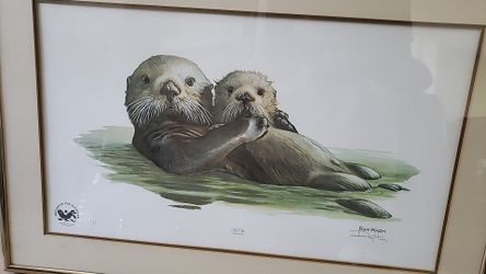 Sea otter