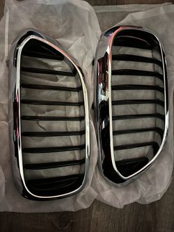 2019 Bmw G 30 Grill