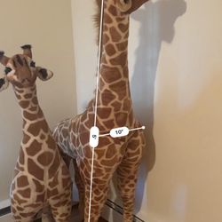 2x Giant Giraffes 