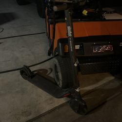 Ninebot By Segway E Scooter 
