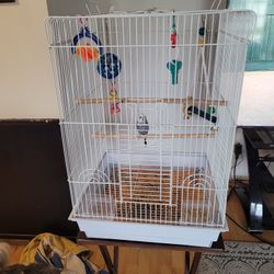 Bird Cage With With Parakeet 