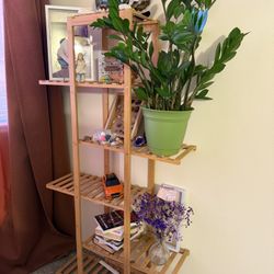 Plant Or Book Shelf 