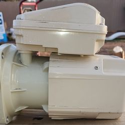 Square Flange Swimming Pool Pump Motor 