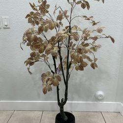 4ft fall tree