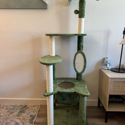 New Green Cat Tree