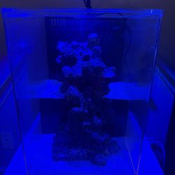 Deskmate MARIANA Drop Off 7 Gallon Acylic Aquarium w extras