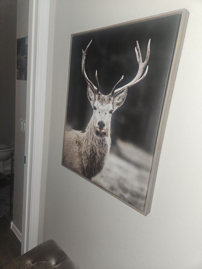 Deer Frame