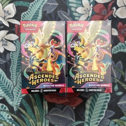 Ascended Hero’s Booster Bundle (6 Packs)