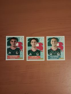 Panini FIFA World Cup Stickers
