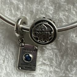 Pandora charms