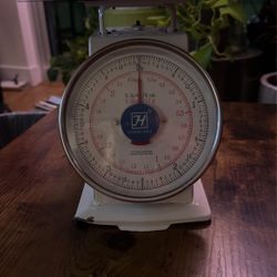 Portion Control Analog Scale - Restaurant