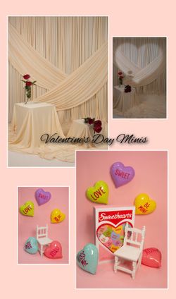 Valentine's day minis