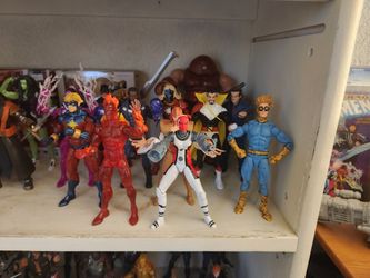 Collection