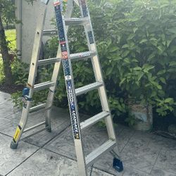Werner Ladder