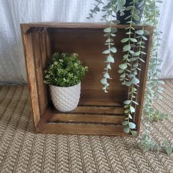 Brown Super Cute Crate For Sale 