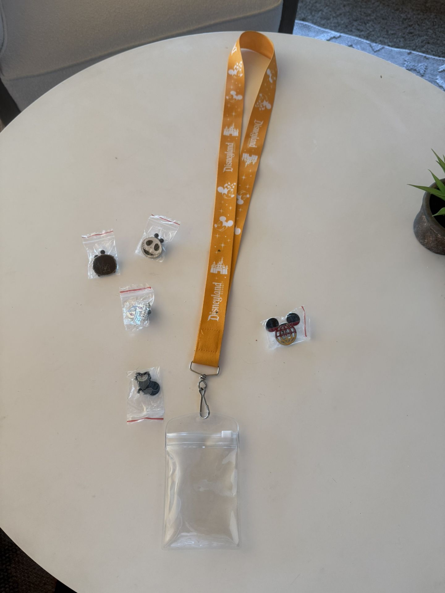 Disney Lanyard With Collectors Pins
