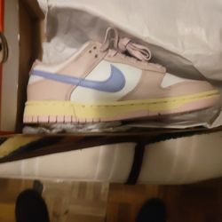 Ladies Nikes Brand New