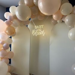 Balloon Arch & Party 