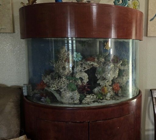 80 Gallon used Salt Water Tank