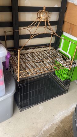Items for a small dog