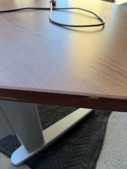 Solid Wood Sit/Stand Desk - Dual Motor