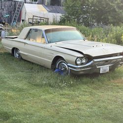 1965 T Bird 
