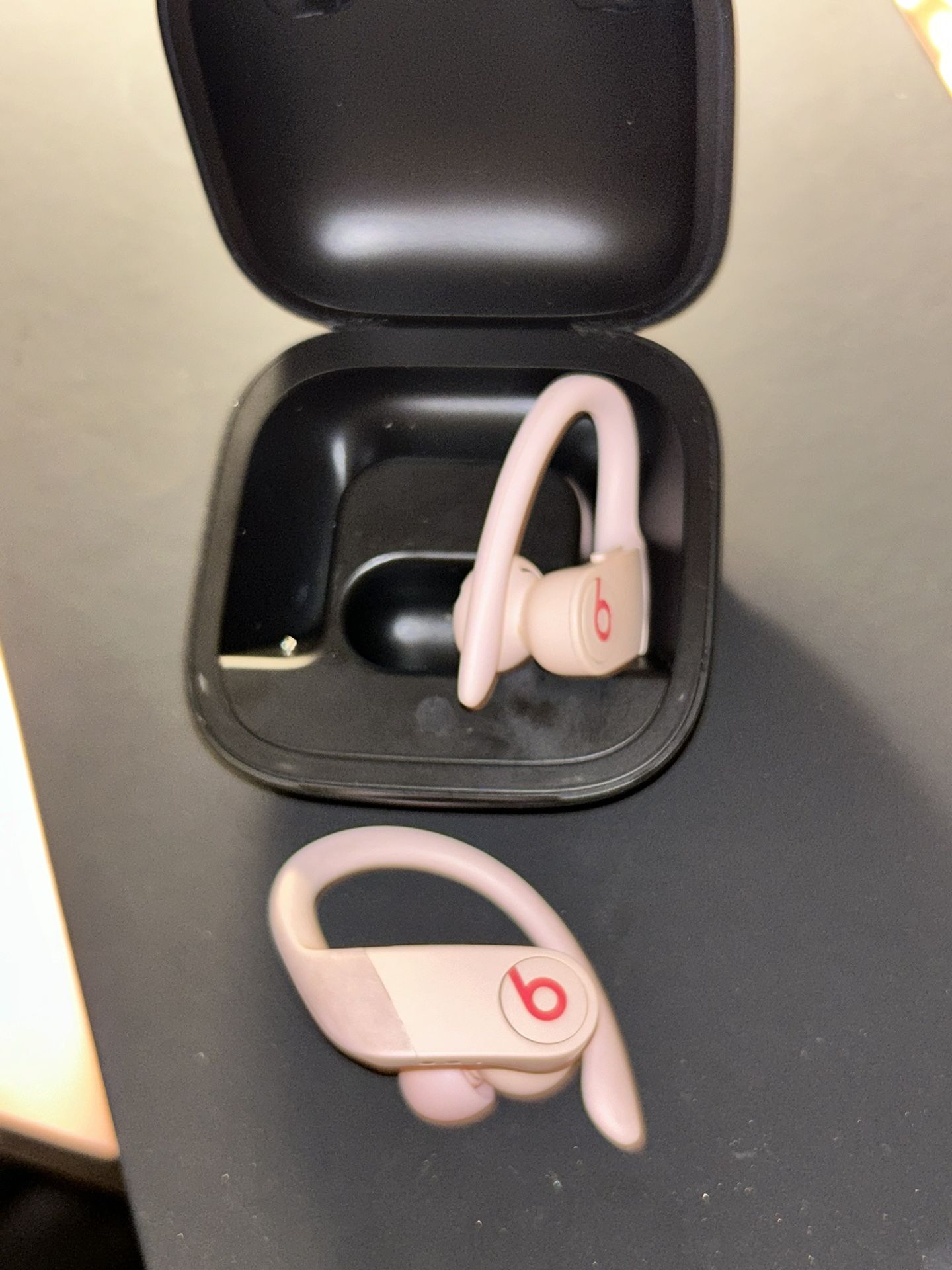 Beats Powerbeats Pro Wireless Earbuds